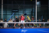 Semifinales