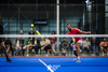 Semifinales