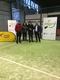 Campeonato Gallego Mixto 2017