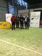 Campeonato Gallego Mixto 2017