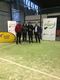 Campeonato Gallego Mixto 2017